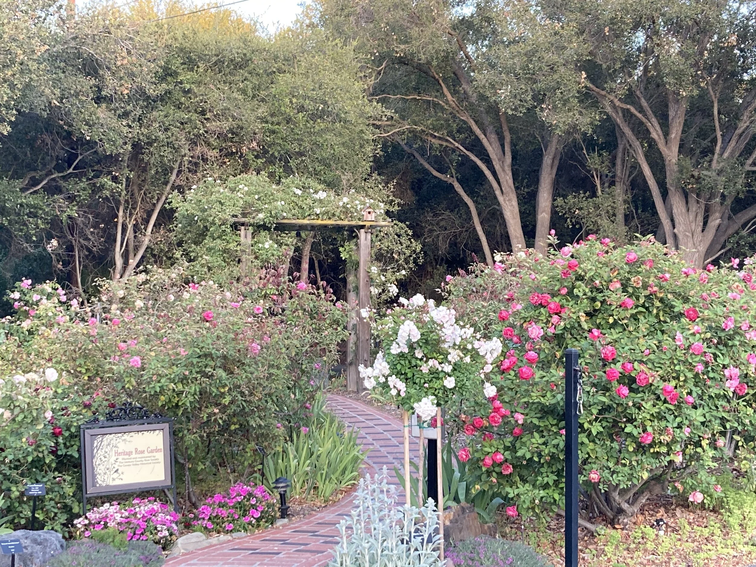 Heritage Rose Garden — Stagecoach Inn Museum
